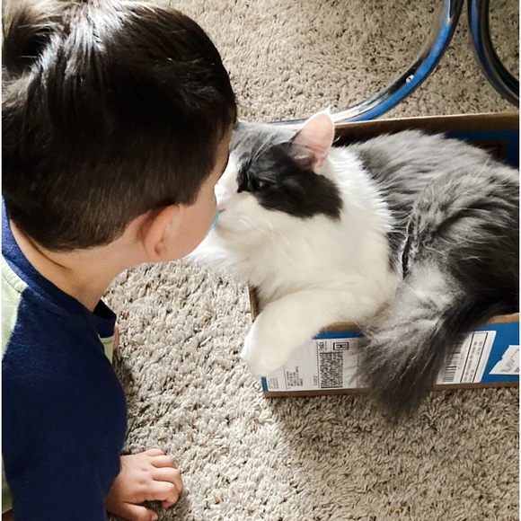 Thank you for visiting my Poshmark Level II Five (5) Star 🌟 Same Day Ship Closet - Picture 10 of 11